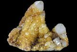 Sunshine Cactus Quartz Crystal Cluster - South Africa #115168-2